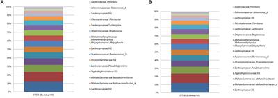 Synthetic Sequencing Standards: A Guide to Database Choice for Rumen Microbiota Amplicon Sequencing Analysis